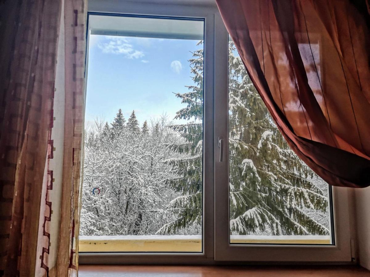 Cosy 2 Rooms Apartment With A View Near The Forest Predeal Eksteriør bilde